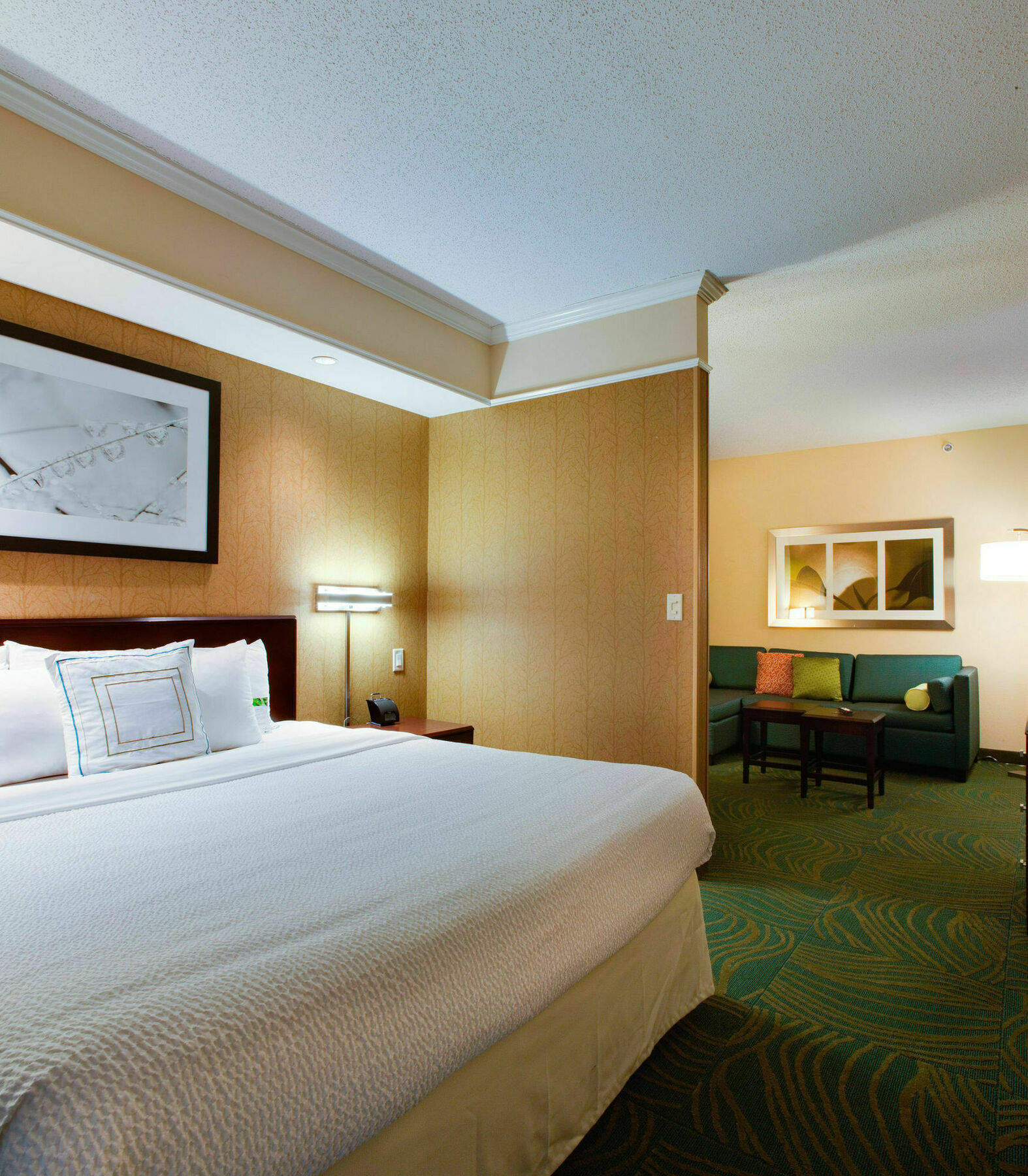 Springhill Suites By Marriott Savannah I-95 South Georgetown Exterior foto
